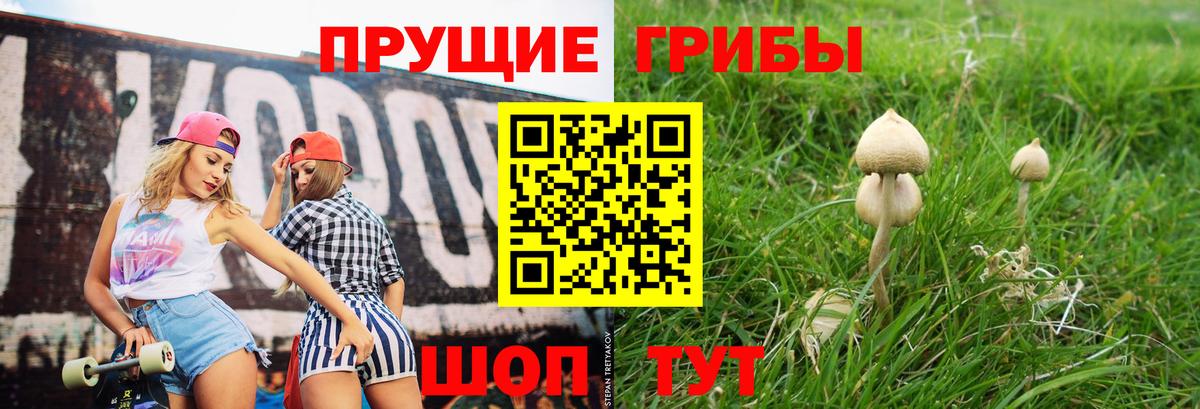 Псилоцибиновые грибы прущие грибы Аксай