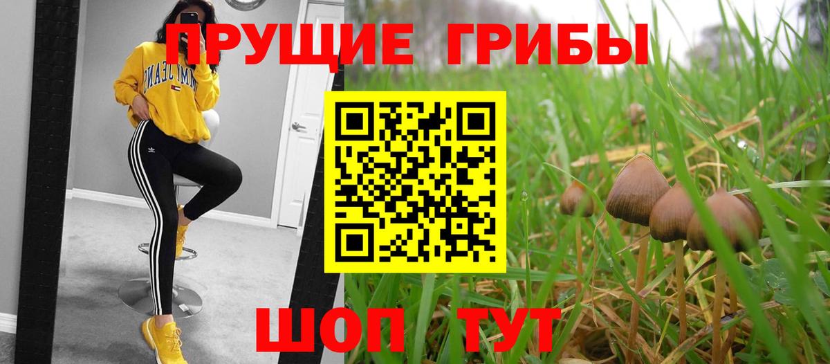 Аксай  Псилоцибиновые грибы прущие грибы  Вход с VPN 